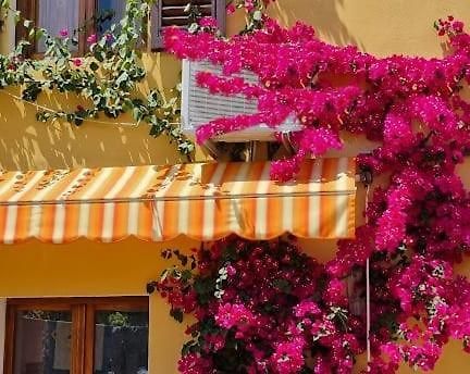 Appartamento In The Heart Of Tuscany Monsummano Terme 外观 照片