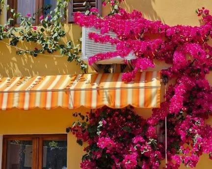 Appartamento In The Heart Of Tuscany Monsummano Terme 外观 照片